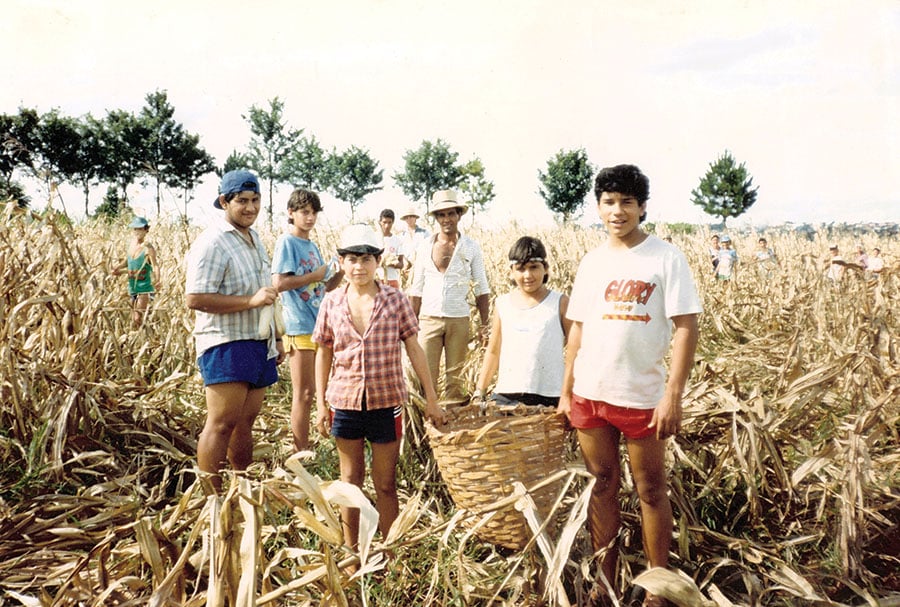 Frei Wilmar Villalba Ortiz (à esquerda,<br />
de boné azul), ajudando na colheita de milho no Seminário Santo Antônio,<br />
em Cascavel (PR), arquivo pessoal