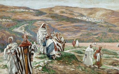 Evangelhos Dominicais – Julho – Agosto 2025