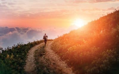 Santo, sadio, fiel e coerente