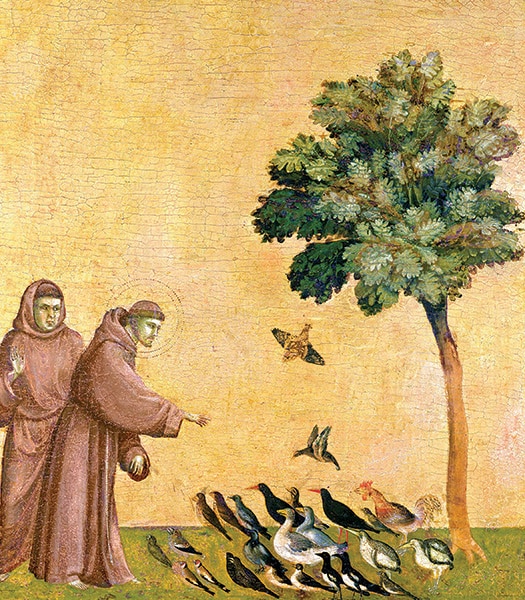 O Sermão dos Pássaros, Giotto di Bondone