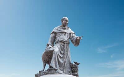 O amor pelos animais na Espiritualidade Franciscana