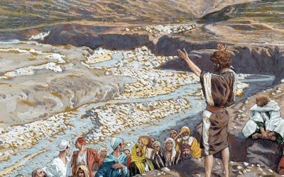 Evangelhos Dominicais – Dezembro 2025