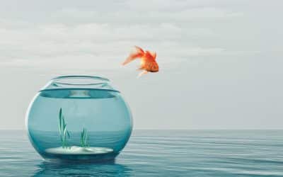 O desafio de uma existência com sentido