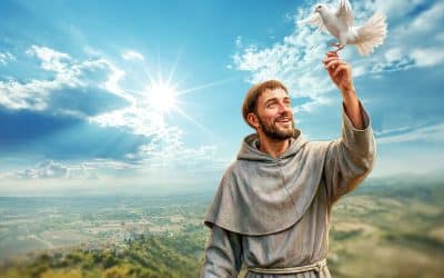 Ano Jubilar Franciscano – “O Ano de São Francisco”